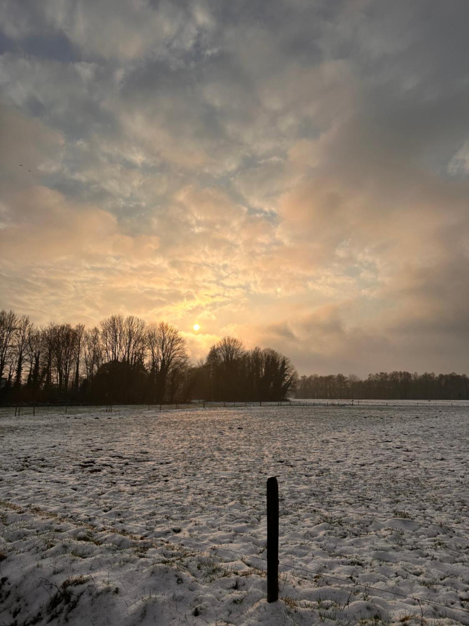 Herberg Sellingen Exteriör bild